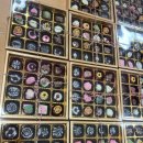 금성중학교 | [스카이교육] - 담양금성중학교 진로직업체험 2025.12.11 ~ 12