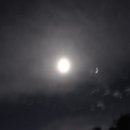 숲속애 휴가 이미지