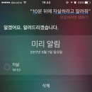 시리나