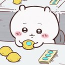 쇼타이 네이버블로그
