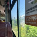 길손농원 | 먹부림-8 (#인생 처음먹어본 흑염소 고기 편)