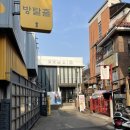 이지시크릿헤어 | 겨울맞이 톤다운염색 시크릿투톤 홍대 이지헤어 내돈내산 후기
