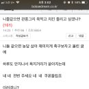 치킨100 이미지