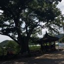 계룡마을회관 이미지