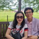 울주 피크닉 콘서트 유월의 밤 이미지