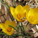 위미문화의 집 이미지