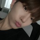 딱풀 Daum카페