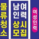 개미건설철거인력 이미지