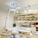 네일다움 이미지