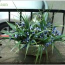 청담보쌈 이미지