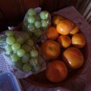 나들이 민박 이미지