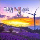 신원면사무소 | 🌸 “2025 감악산 꽃별 여행축제, 꽃과 별이 어우러진 가을 감성 여행”