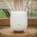 한일 명품 세탁 | 기화식 가습기 완벽 가이드 | 2025년 최신 추천 제품 순위, 장단점까지 총정리