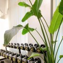 레하 필라테스&PT | 경복궁필라테스 레하 필라테스PT 시설 최고예요❤️