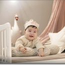 품안애
