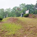 진화 묘 이미지