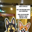 강서로 62길 이미지