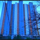 들성로-5 이미지