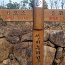 백운산둘레길5코스 네이버블로그