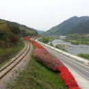 섬진강변 철쭉길 이미지