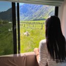 엘리트전자 | 뉴질랜드 캠핑카여행 마우이 엘리트 비치 내돈내산 자세한 리뷰