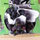 예은농장 이미지