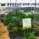 병인농장 이미지