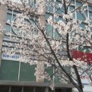 동대문베르빌 앞 이미지
