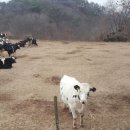 다인축사 이미지