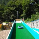 홍천해당화 이미지