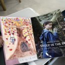 영생수지 | 휴머노이드가 주는 위로와 회복 : 고레에다 히로카즈 영화<상자 속의 양> 리뷰 - 일본 사회 속 가족과...