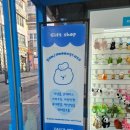 감자뭉케이스 이미지