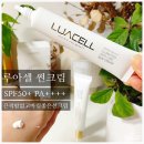 제너스티앤씨 - 서초구 동산로 26 | 제너스티앤씨