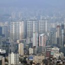 상업용 11 이미지