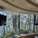 한국빌라 | 보령 가볼만한곳 죽도 숙소 추천 상화원 한국빌라 후기 내돈내산/바베큐/조식/주차