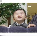 허브프린세스