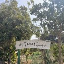 세오니네집 이미지