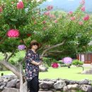 웅석봉로 이미지