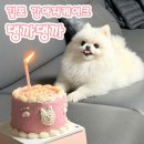 댕까댕까 이미지