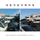 세종 자동차 이미지