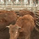 병건농장 이미지