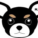 온마음 동물메디컬센터 이미지