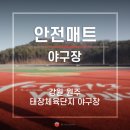 태장체육단지 야구장 이미지