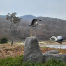 의성왜가리생태관 화장실 이미지