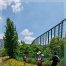 내곡동274 이미지