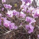 해피민박 이미지