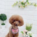 수정미용원