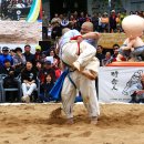 으랏차차 이미지