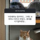 나 좋아하는 유투버 무물보다가 뼈맞음 이미지