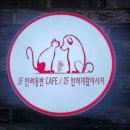 서른살나의펫 | 대구 남구 대명동 애견동반카페 맛집 서른살나의펫 마이펫30 방문후기